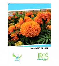 Iris F1 Marigold Orange Seeds 15 Seeds